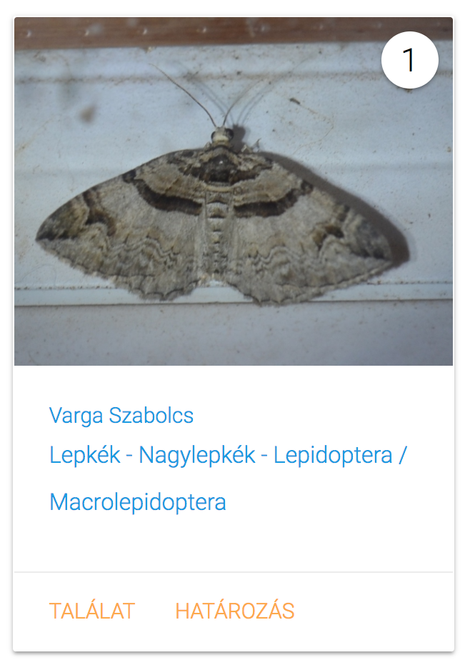 Még nem határozott találat